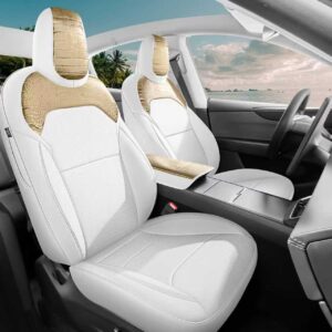 特斯拉Y 25 鳄鱼皮