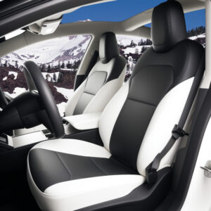 特斯拉 3 2025 黑白